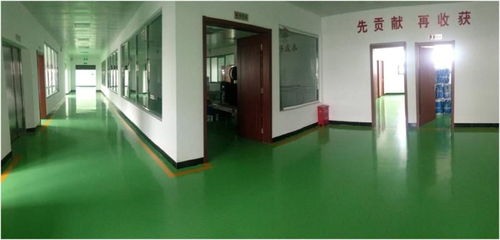 水性環氧地坪漆 環保新趨勢下的卓越之選——以啟杉水漆為例